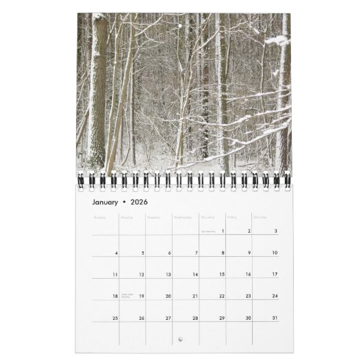 Calendrier 2011 (Jan 2026)