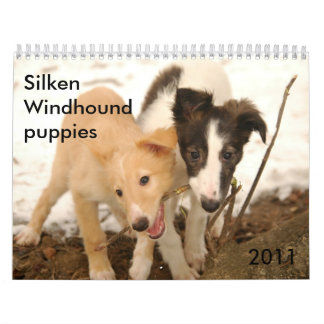 Calendrier 2011 chiots de soie de Windhound