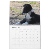 Calendrier 2011 chiots de soie de Windhound (Feb 2027)