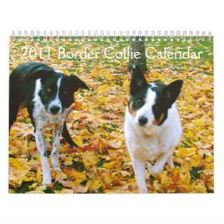 Calendrier 2011 de border collie
