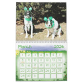Calendrier 2011 de border collie (Mar 2026)