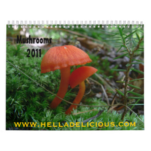 Calendrier 2011 de champignon