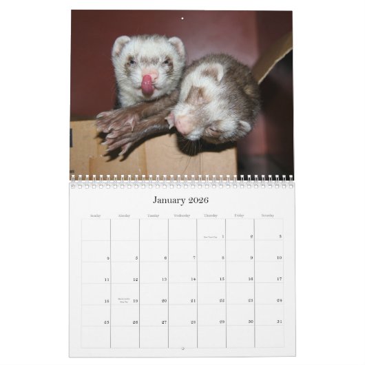 Calendrier 2011 de furet (Jan 2026)
