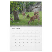 Calendrier 2011 de la faune de la Caroline (Mar 2026)