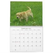 Calendrier 2011 de labrador retriever (Feb 2027)