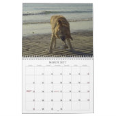 Calendrier 2011 de labrador retriever (Mar 2027)