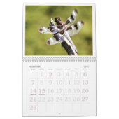 Calendrier 2011 de libellule (Feb 2027)