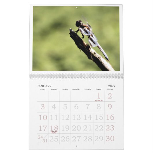Calendrier 2011 de libellule (Jan 2027)