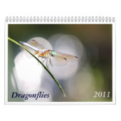 Calendrier 2011 de libellule (Protection)