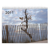 Calendrier 2011 de paysage marin (Protection)