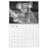 calendrier 2011 de photo (Mar 2027)