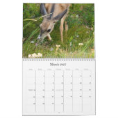 Calendrier 2011 de photographie (Mar 2027)