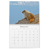 Calendrier 2011 de photographie (Feb 2027)