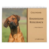 Calendrier 2011 de Rhodesian Ridgeback (Protection)