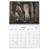 Calendrier 2011 de rodéo (Jan 2026)