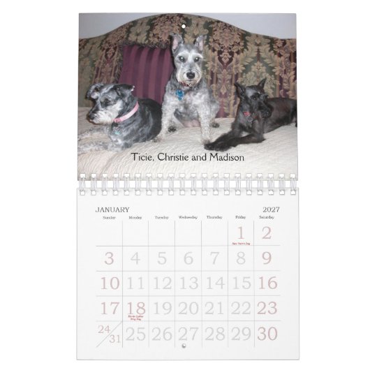 Calendrier 2011 de SRM (Jan 2027)