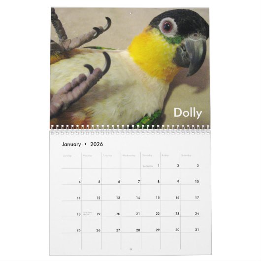 Calendrier 2011 fou de caïque (Jan 2026)