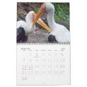 Calendrier 2011 oiseaux (Feb 2027)