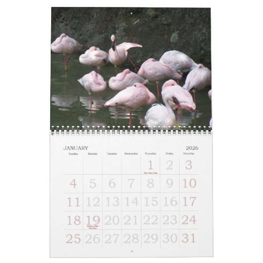 Calendrier 2011 oiseaux (Jan 2026)