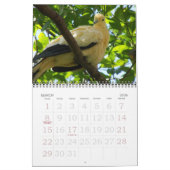 Calendrier 2011 oiseaux (Mar 2026)