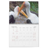 Calendrier 2011 oiseaux (Feb 2026)