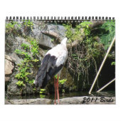 Calendrier 2011 oiseaux (Protection)