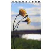 Calendrier 2012 (Protection)