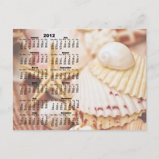 Calendrier 2012 - Carte Postale Seashell (Devant)