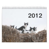 Calendrier 2012 chatons de ranch de puits (Protection)