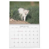 Calendrier 2012 chatons de ranch de puits (Feb 2027)