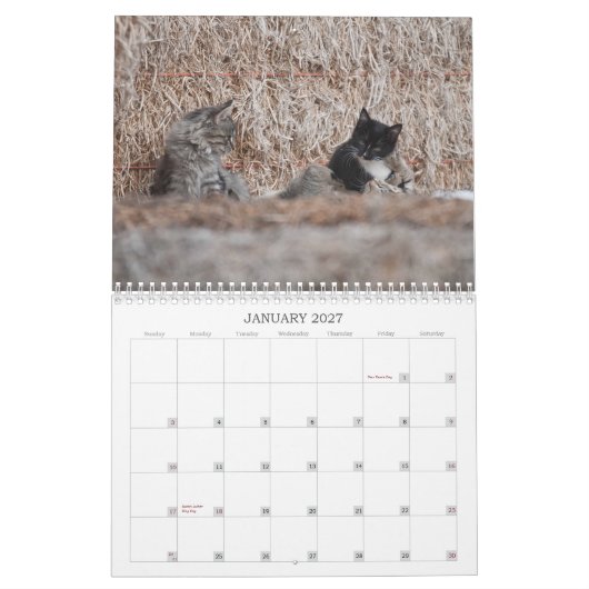 Calendrier 2012 chatons de ranch de puits (Jan 2027)