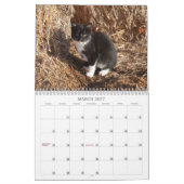 Calendrier 2012 chatons de ranch de puits (Mar 2027)