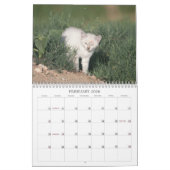 Calendrier 2012 chatons de ranch de puits (Feb 2026)