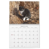 Calendrier 2012 chatons de ranch de puits (Mar 2026)
