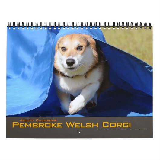 Calendrier 2012 d'agilité de corgi de Gallois de (Protection)
