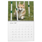 Calendrier 2012 d'agilité de corgi de Gallois de (Jan 2027)