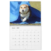 Calendrier 2012 d'agilité de corgi de Gallois de (Mar 2027)