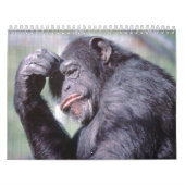 Calendrier 2012 d'animaux sauvages (Protection)