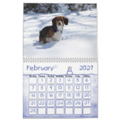 Calendrier 2012 de beagle (Feb 2027)