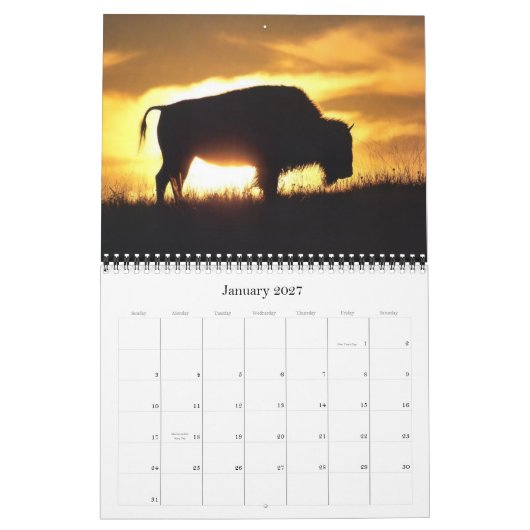 Calendrier 2012 de Buffalo (Jan 2027)