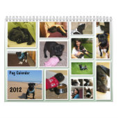 Calendrier 2012 de carlin (Protection)
