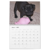 Calendrier 2012 de carlin (Mar 2027)