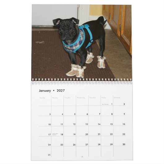 Calendrier 2012 de carlin (Jan 2027)
