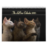Calendrier 2012 de chat (Protection)