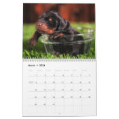 Calendrier 2012 de chiot de dobermann (Mar 2026)