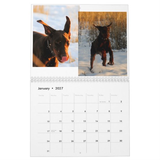 Calendrier 2012 de chiot de dobermann (Jan 2027)