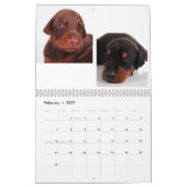 Calendrier 2012 de chiot de dobermann (Feb 2027)