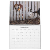 Calendrier 2012 de délivrance de chiot de Havanese (Feb 2027)