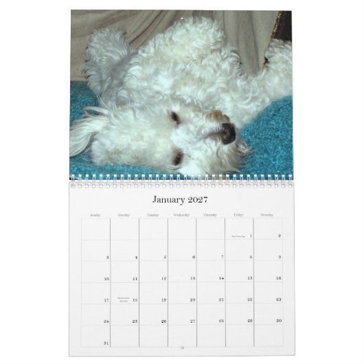 Calendrier 2012 de délivrance de chiot de Havanese (Jan 2027)