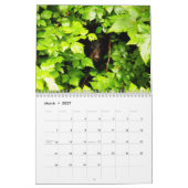 Calendrier 2012 de faune (Mar 2027)